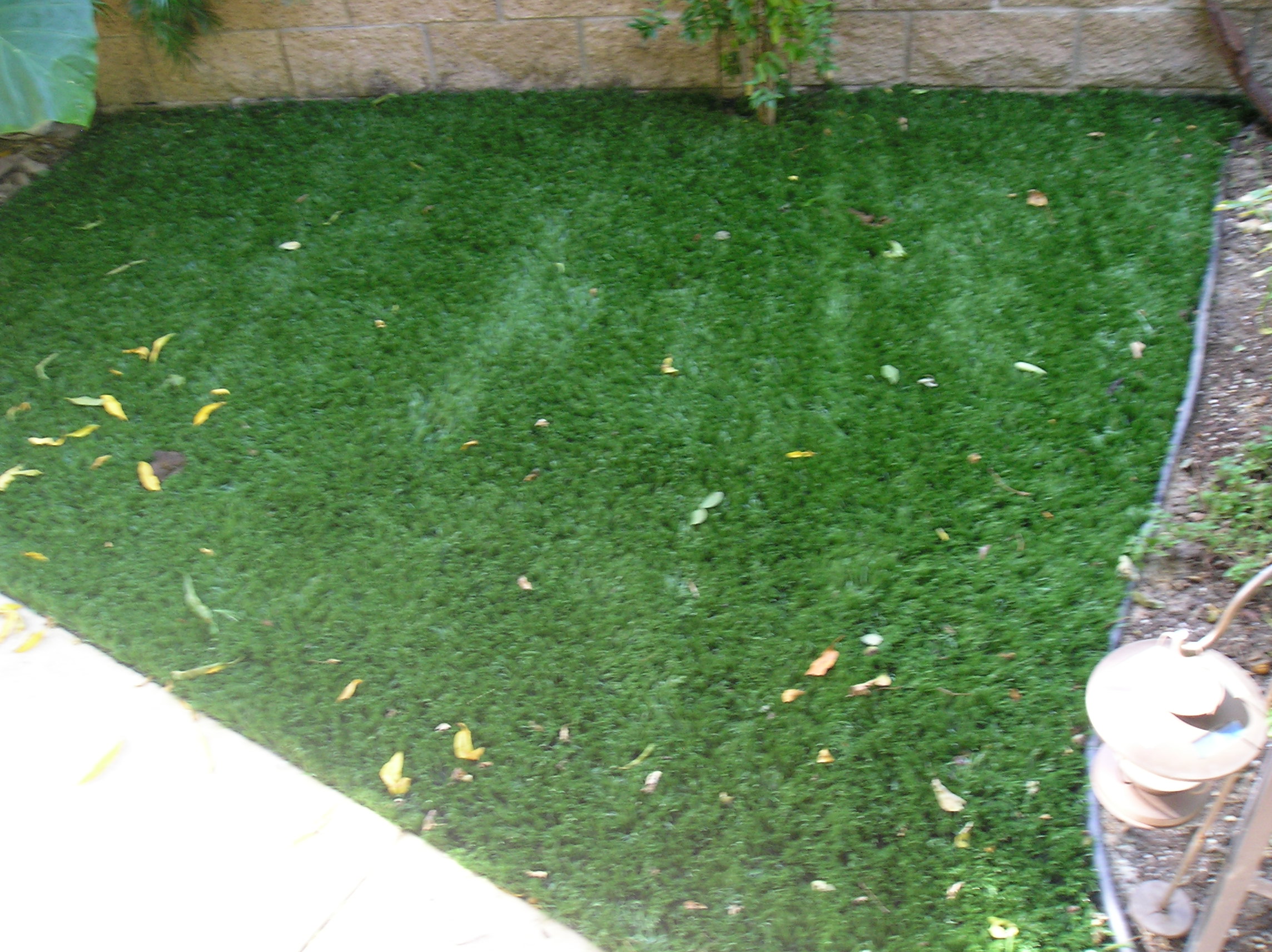 Cool Blue Hollow Olive fake green grass,green grass carpet