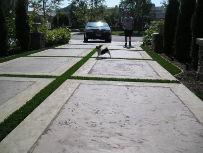 C Blade-92 artificial grass wholesale,wholesale artificial grass,artificial turf wholesale,synthetic grass wholesale,artificial turf,synthetic turf,artificial turf installation,how to install artificial turf,used artificial turf,backyard turf,turf backyard,fake grass for backyard,fake grass backyard,artificial grass backyard