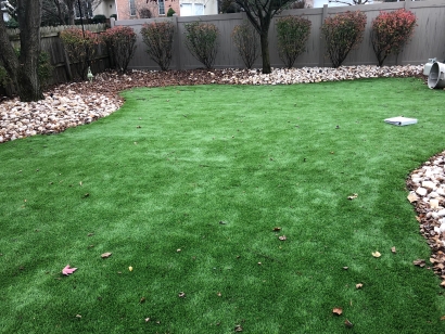 Emerald-92 Stemgrass artificial grass,fake grass,synthetic grass,grass carpet,artificial grass rug,artificial grass,fake grass,synthetic grass,grass carpet,artificial grass rug,real grass,most realistic artificial grass,realistic artificial grass