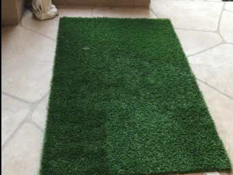 S Blade-90 Green on Green fake grass for dogs,artificial grass for dogs,artificial turf for dogs,best grass for dogs,grass for dogs,artificial turf backyard,backyard pets,backyard artificial grass,dog area in backyard,best artificial turf for backyard,artificial turf backyard,backyard pets,astroturf yard,backyard artificial grass,astro turf yard cost,dog area in backyard,safe pet products,grass go