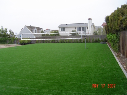 Trainers Turf-63 residential landscaping,artificial turf residential,residential landscape,residential turf,residential artificial grass