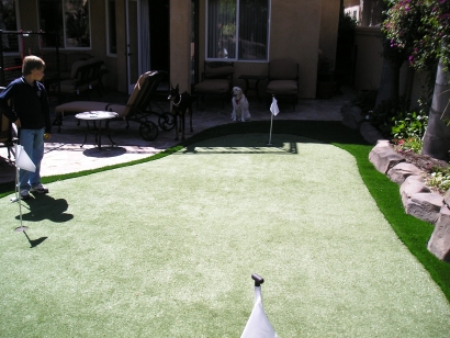 Pro Putt-44 golf putting green backyard white dog