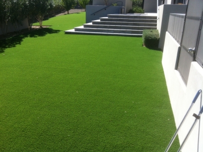 Cashmere 70 artificial turf,synthetic turf,artificial turf installation,how to install artificial turf,used artificial turf,artificial grass,artificial turf,artificial lawn,artificial grass rug,artificial grass installation,artificial grass,fake grass,synthetic grass,grass carpet,artificial grass rug,artificial turf,synthetic turf,artificial turf installation,how to install artificial turf,used ar