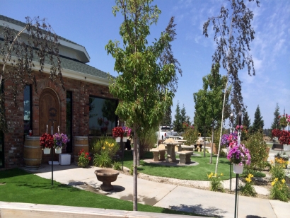 Artificial Grass Installation in Oakland, California