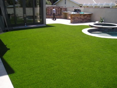 S Blade 50 best artificial grass,best fake grass,best synthetic grass,best turf,best artificial grass for home,backyard turf,turf backyard,fake grass for backyard,fake grass backyard,artificial grass backyard