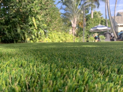 S Blade 50 best artificial grass,best fake grass,best synthetic grass,best turf,best artificial grass for home,best artificial grass,best fake grass,best synthetic grass,best turf,best artificial grass for home,artificial grass,fake grass,synthetic grass,grass carpet,artificial grass rug