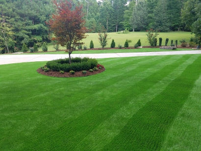 Always green artificial grass lawn in Lake Havasu, Arizona, Mohave. Tree, lawn, boxwood, green stripes landscape.