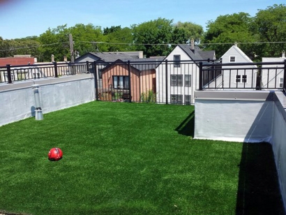 Artificial Lawn Backyard in Chicago, Illinois