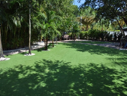 Artificial Grass Backyard in Jacksonville, Florida