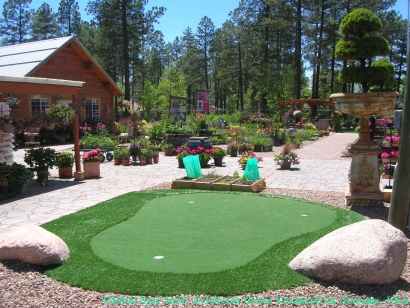 Artificial Grass in Phoenix, Arizona