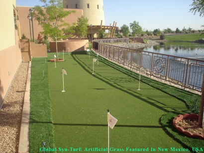 Artificial Grass In Albuquerque, New Mexico