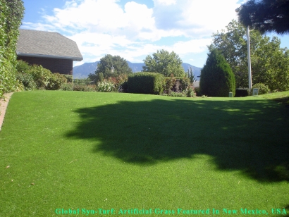 Synthetic Grass in Albuquerque, New Mexico