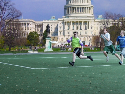 Artificial Grass in Washington DC