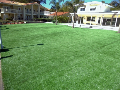 Artificial Grass Installation in Palm City, Florida
