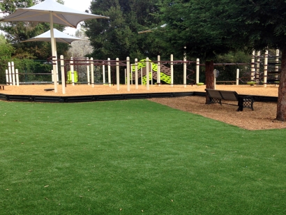 Artificial Grass Installation in Downey, California