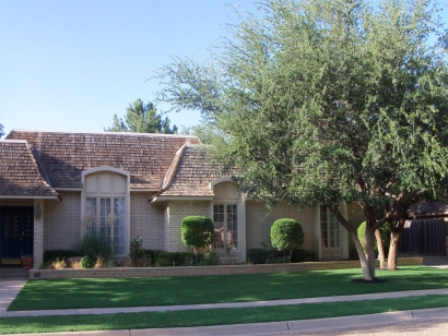 Artificial Grass Installation in Pasadena, Texas