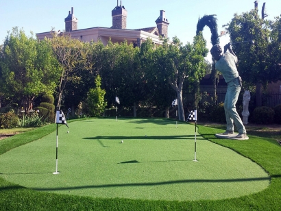 Artificial Grass Installation in Atlanta, Georgia