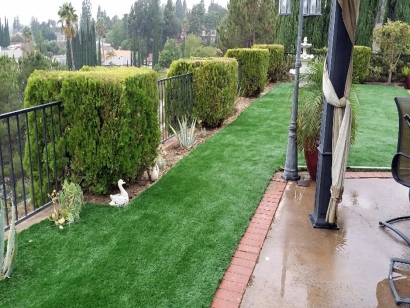 Artificial Grass Installation in Murrieta, California