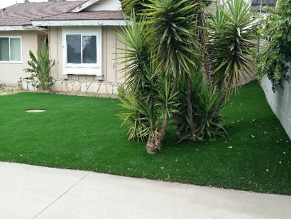 Artificial Grass Installation in Miramar, Florida