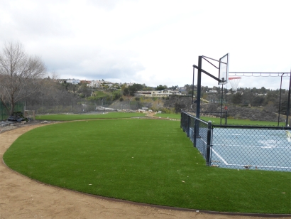 Artificial Grass, Fake Grass In Los Angeles, California