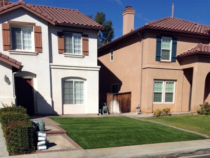 Artificial Grass Installation in Bonita, California