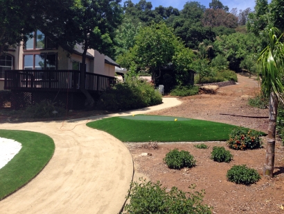 Artificial Grass Installation in East Hemet, California