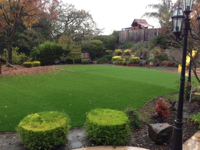 Artificial Grass Installation In Hercules, California