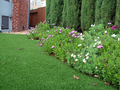 Artificial Grass Installation in Home Gardens, California