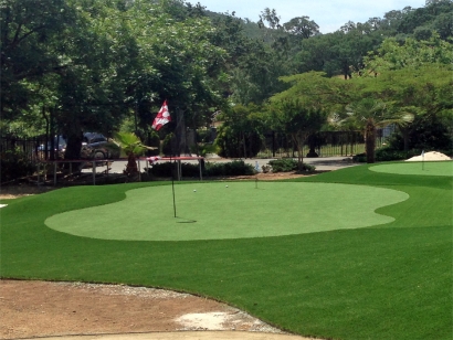 Artificial Grass Installation in Lakeview, California