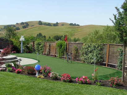 Artificial Grass Installation in La Mesa, California