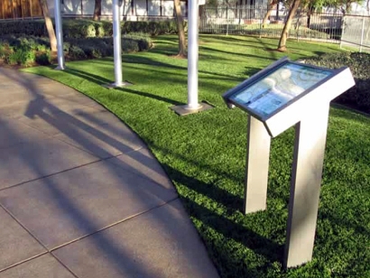 Artificial Grass Installation in Missouri City, Texas