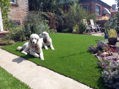 Artificial Grass Installation In Ukiah, California