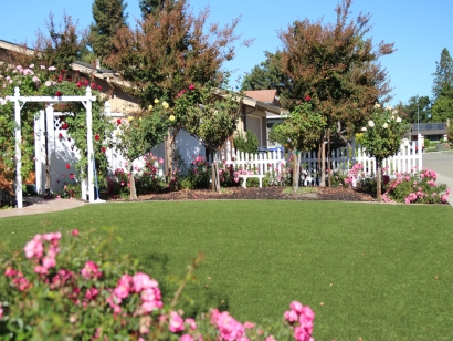 Artificial Grass Installation In Valley Center, California