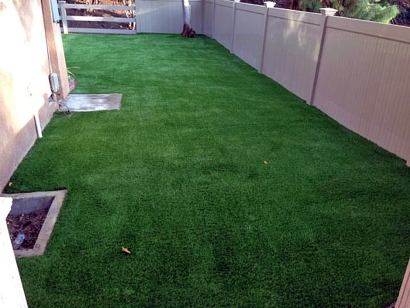 Artificial Grass Installation in View Park-Windsor Hills, California