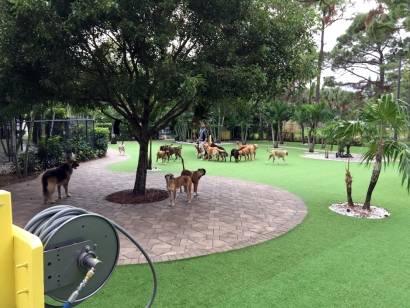 Artificial Grass Installation in Wellington, Florida