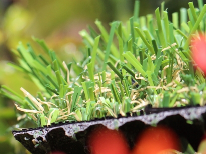 Spring 50 Multipurpose Artificial Grass - Global Syn-Turf