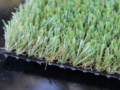 Residential Pet Grass