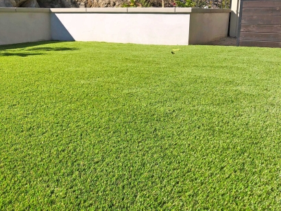 San Diego Artificial Grass Backyard