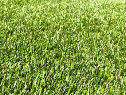 Featuring Super Natural 80 Synthetic Turf