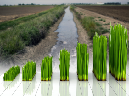 Californias Water Reduction Mandate Feed Artificial Grass Industry