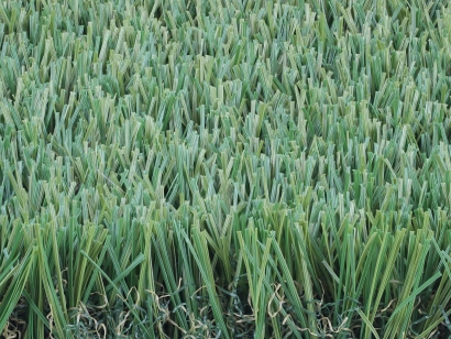 Eco-Friendly Turf That Lasts