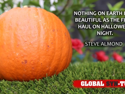 Halloween pumpkin on artificial grass red flowers quote steve almond