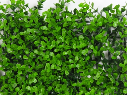 Hawthorn Hedge artificial boxwood small leaf ivy panels