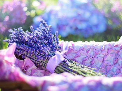 Lavender Flowers in the basket