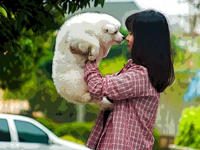 Girl love dog, white dog, puppy