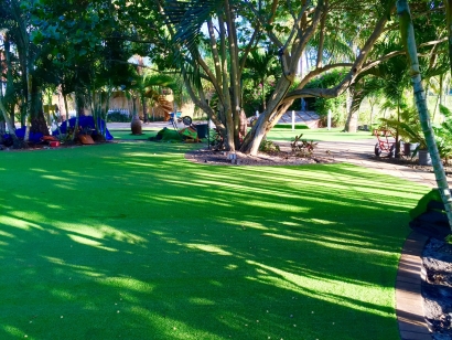 Artificial turf always green lawn large backyard ideas no water or maintenance.