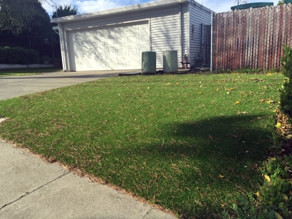 Synthetic Grass Installation In San Jose, California