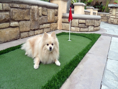 Synthetic Grass Installation In Santa Ana, California