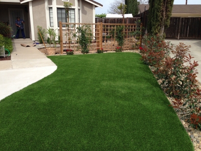 Synthetic Grass In Torrance, California