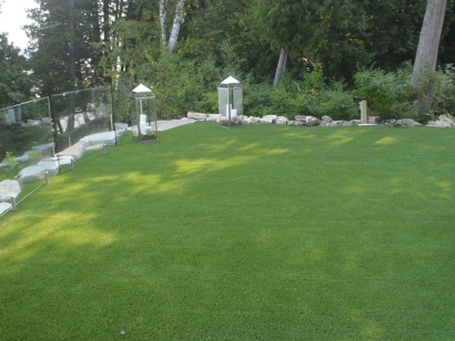 Synthetic Lawn, Artificial Grass Sister Bay, Wisconsin